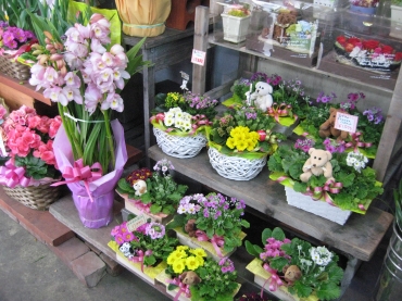 「花の店ハナセン」　（福島県福島市）の花屋店舗写真4