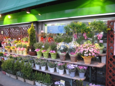 「花の店ハナセン」　（福島県福島市）の花屋店舗写真1